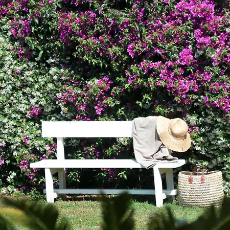 Casa Le Agavi Pensjonat 4*