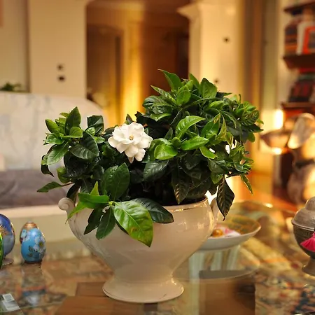 Casa Le Agavi Pensjonat 3*