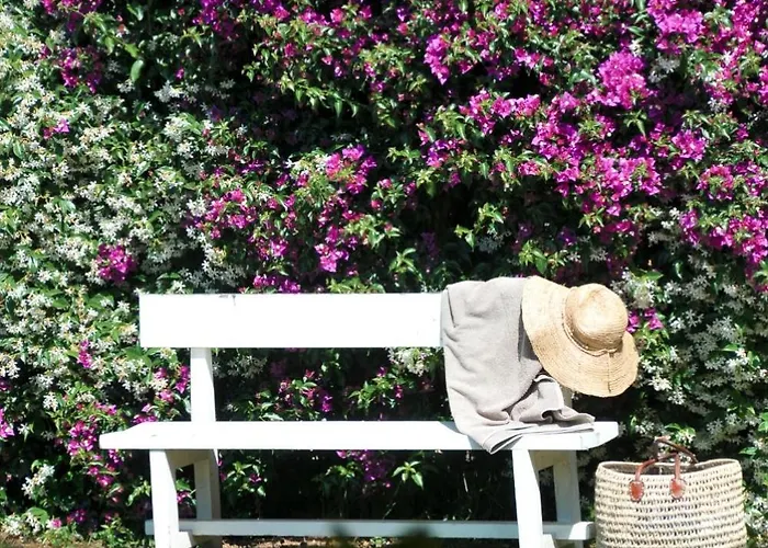 Casa Le Agavi 招待所 3*